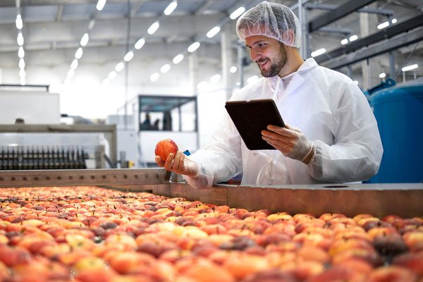 Food Processing - capping machine